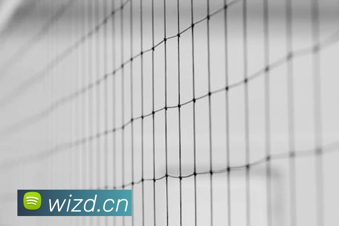 App Interface Preview